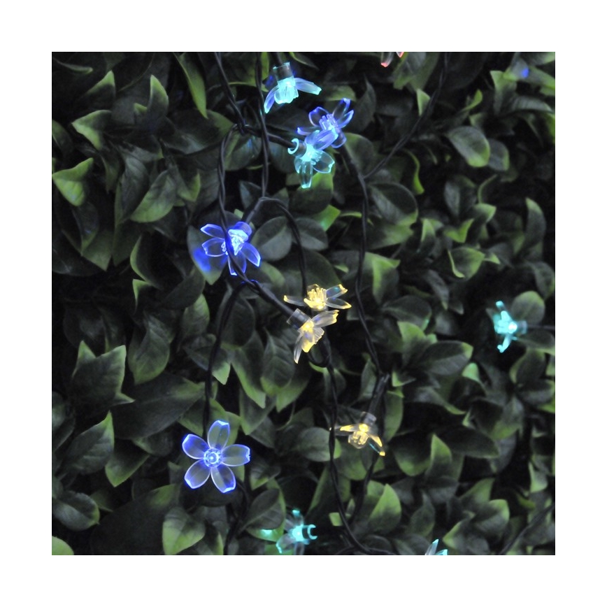 Guirlande solaire FLEUR LED 50xLED/1,2V IP44