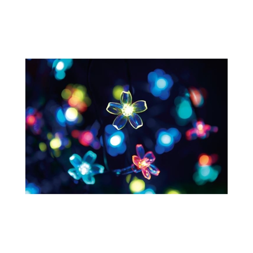 Guirlande solaire FLEUR LED 50xLED/1,2V IP44
