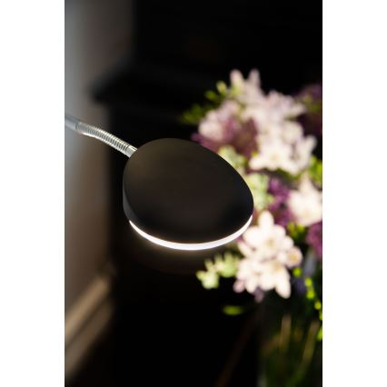 Halo Design 716067 - LED-dimbare vloerlamp VEGAS LED/20W/230V + LED/5W zwart/glanzend chroom