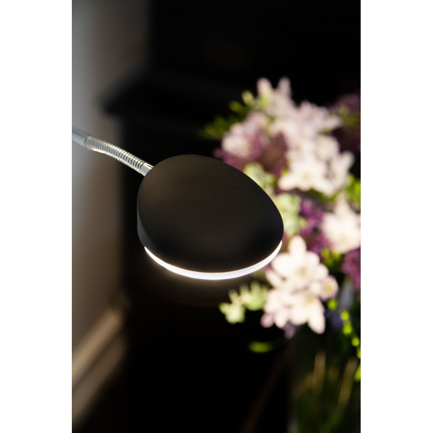 Halo Design 716067 - LED-dimbare vloerlamp VEGAS LED/20W/230V + LED/5W zwart/glanzend chroom