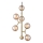 Halo Design 738861 - Kroonluchter met kabelophanging ATOM 6xG9/28W/230V Ø 30 cm messing/rookbeige