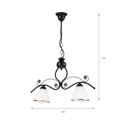 Hanglamp aan een ketting RETRO 2xE27/60W/230V mat zwart