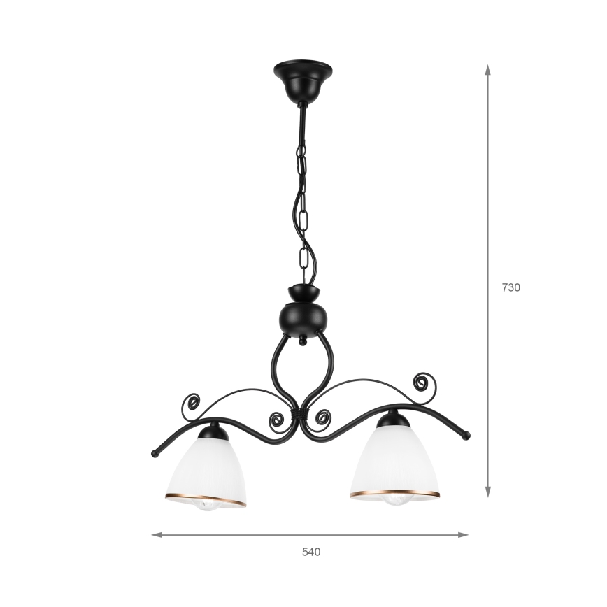 Hanglamp aan een ketting RETRO 2xE27/60W/230V mat zwart