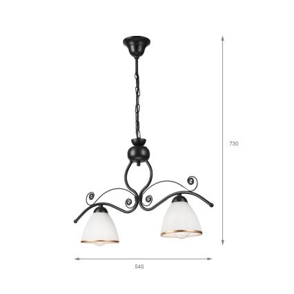 Hanglamp aan een ketting RETRO 2xE27/60W/230V zwart