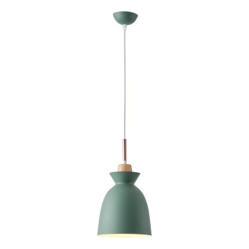 Hanglamp aan een koord 1xE27/15W/230V groen diameter 19,5 cm