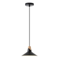 Hanglamp aan een koord 1xE27/15W/230V zwart