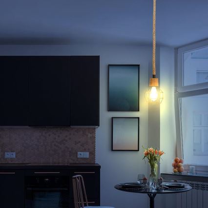 Hanglamp aan een koord 1xE27/60W/230V diameter 15 cm