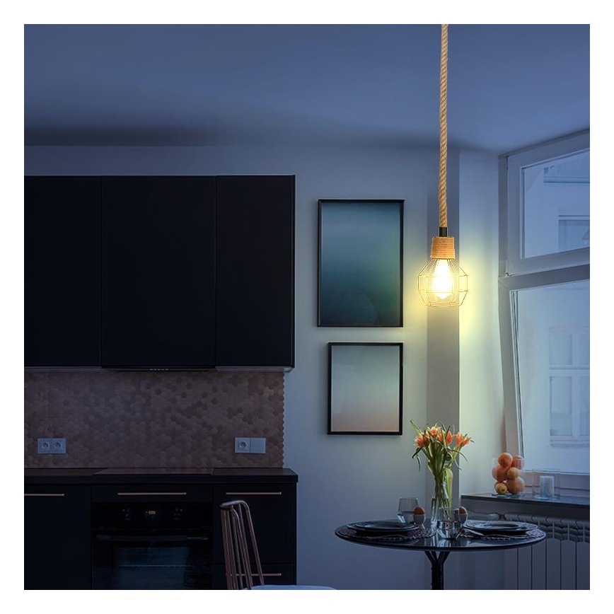 Hanglamp aan een koord 1xE27/60W/230V diameter 15 cm