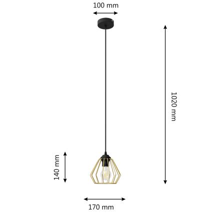 Hanglamp aan een koord AGAT 1xE27/15W/230V goud/zwart