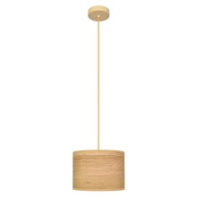 Hanglamp aan een koord ALBA 1xE27/60W/230V diameter 20 cm bruin