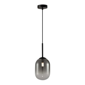Hanglamp aan een koord ALIAS 1xG9/8W/230V diameter 12 cm zwart/grijs