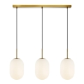 Hanglamp aan een koord ALIAS 3xE14/40W/230V goud