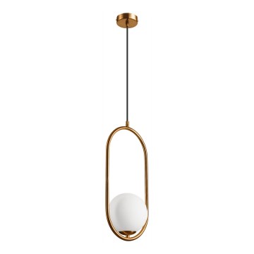 Hanglamp aan een koord AMBER 1xG9/5W/230V 140 cm