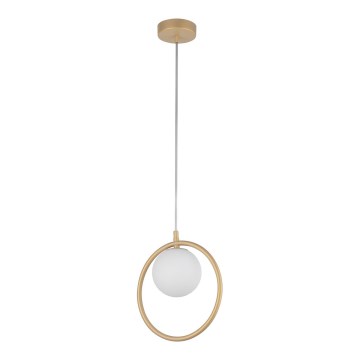 Hanglamp aan een koord AQUA 1xG9/12W/230V goud