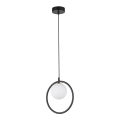 Hanglamp aan een koord AQUA 1xG9/12W/230V zwart