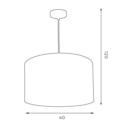 Hanglamp aan een koord ARDEN 1xE27/60W/230V d. 40 cm zwart/goud