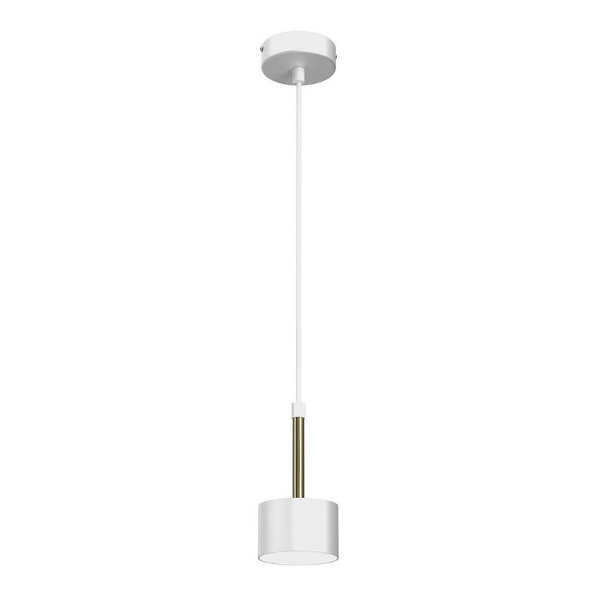 Hanglamp aan een koord ARENA 1xGX53/11W/230V wit/goud