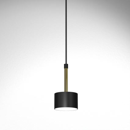 Hanglamp aan een koord ARENA 1xGX53/11W/230V zwart/goud