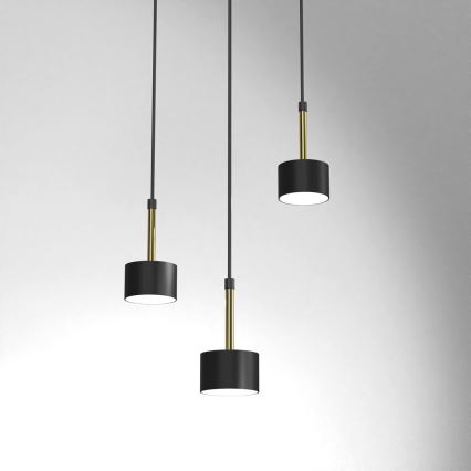 Hanglamp aan een koord ARENA 3xGX53/11W/230V zwart/goud