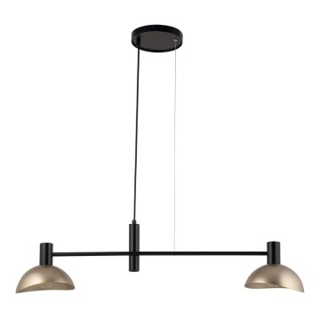 Hanglamp aan een koord ARTIS 2xE14/40W/230V zwart/goud