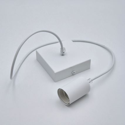 Hanglamp aan een koord ASTRID 1xE27/60W/230V wit