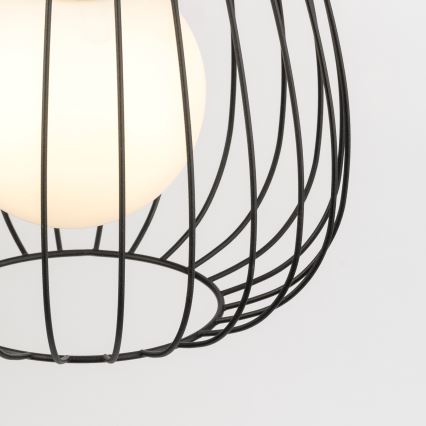 Hanglamp aan een koord BELL 1xG9/12W/230V diameter 24 cm zwart/glanzend chroom