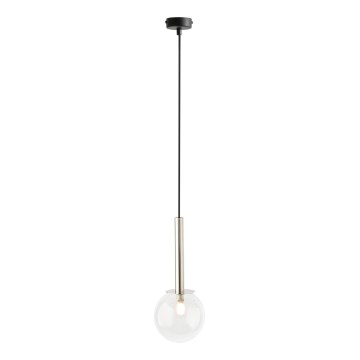 Hanglamp aan een koord DAISY 1xG9/12W/230V diameter 14 cm glanzend chroom/zwart/doorzichtig