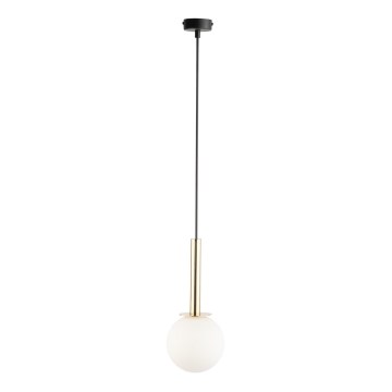 Hanglamp aan een koord DAISY 1xG9/12W/230V diameter 14 cm goud/zwart/wit