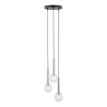 Hanglamp aan een koord DAISY 3xG9/12W/230V diameter 27 cm glanzend chroom/zwart/doorzichtig