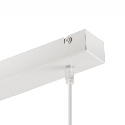 Hanglamp aan een koord DANIELLE 2xE27/60W/230V beuken - FSC gecertificeerd