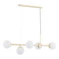 Hanglamp aan een koord DANSA 5xE14/10W/230V goud