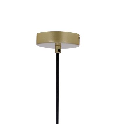 Hanglamp aan een koord DUO 2xE14/40W/230V gouden/zwart