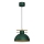 Hanglamp aan een koord ESTATE 1xE27/15W/230V groen