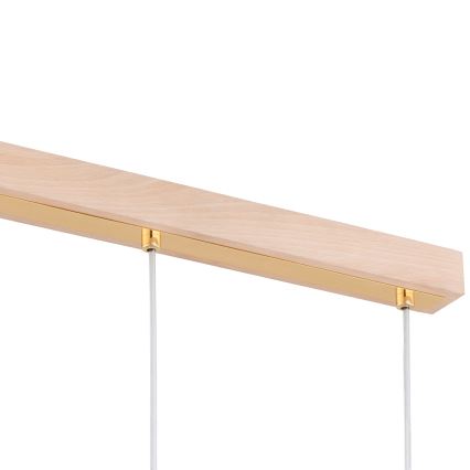 Hanglamp aan een koord EVIC 3xE27/60W/230V