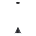 Hanglamp aan een koord FABO 1xE27/15W/230V zwart