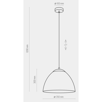 Hanglamp aan een koord FARO 1xE27/60W/230V zwart