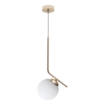 Hanglamp aan een koord FIRA 1xE27/60W/230V goud