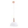 Hanglamp aan een koord FOTYN 1xE27/15W/230V bruin