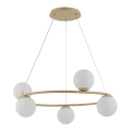 Hanglamp aan een koord GAMA 5xG9/12W/230V goud