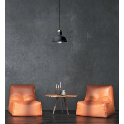 Hanglamp aan een koord HEBE 1xE27/60W/230V zwart