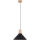 Hanglamp aan een koord JAGA 1xE27/15W/230V diameter 30 cm zwart
