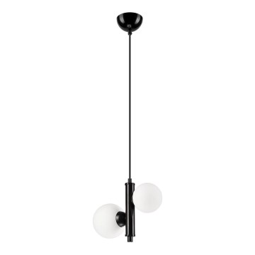 Hanglamp aan een koord LARRY 2xG9/15W/230V