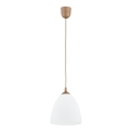 Hanglamp aan een koord LERA 1xE27/15W/230V goud