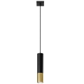 Hanglamp aan een koord LOOPEZ 1xGU10/40W/230V zwart/goud
