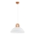 Hanglamp aan een koord MIGOT 1xE27/15W/230V beige/goud