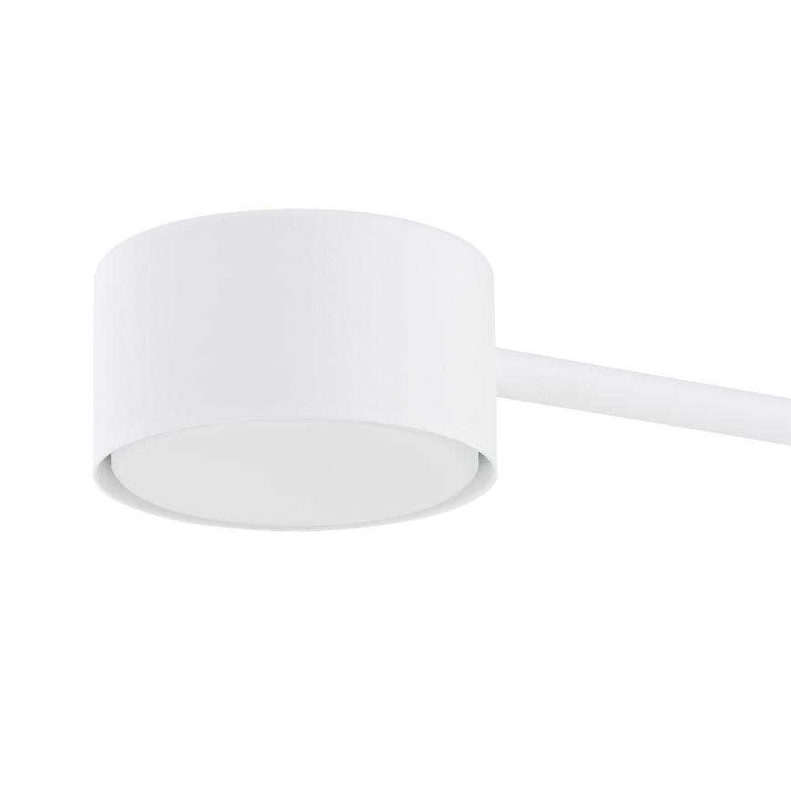 Hanglamp aan een koord MODUS 4xGX53/10W/230V wit