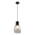 Hanglamp aan een koord MOLDO 1xE27/40W/230V zwart/doorzichtig