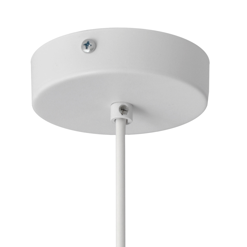 Hanglamp aan een koord MOONLIGHT 1xE27/15W/230V grijs