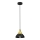 Hanglamp aan een koord NERGIS 1xE27/60W/230V
