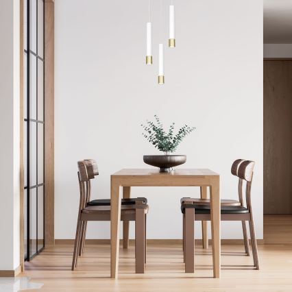 Hanglamp aan een koord NEST 3xGU10/8W/230V wit/goud rond